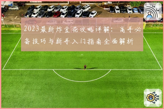 2023最新炸金花攻略详解：高手必备技巧与新手入门指南全面解析