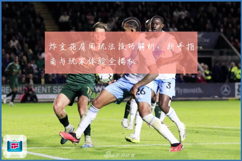 炸金花房间玩法技巧解析，新手指南与玩家体验全揭秘