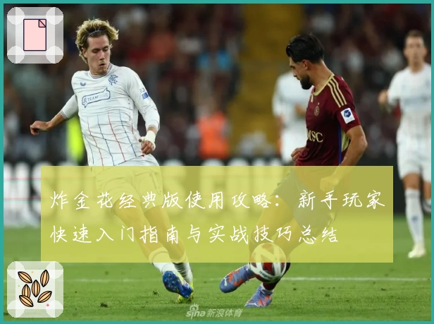 炸金花经典版使用攻略：新手玩家快速入门指南与实战技巧总结