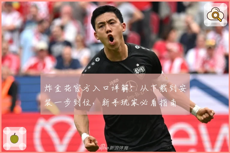 炸金花官方入口详解：从下载到安装一步到位，新手玩家必看指南