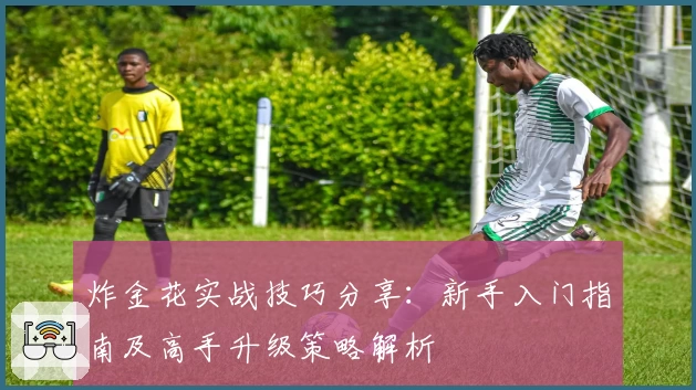 炸金花实战技巧分享：新手入门指南及高手升级策略解析