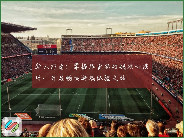 新人指南：掌握炸金花对战核心技巧，开启畅快游戏体验之旅