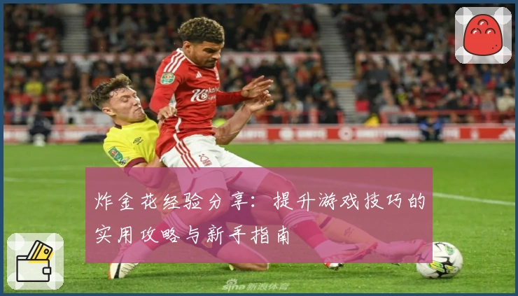 炸金花经验分享：提升游戏技巧的实用攻略与新手指南
