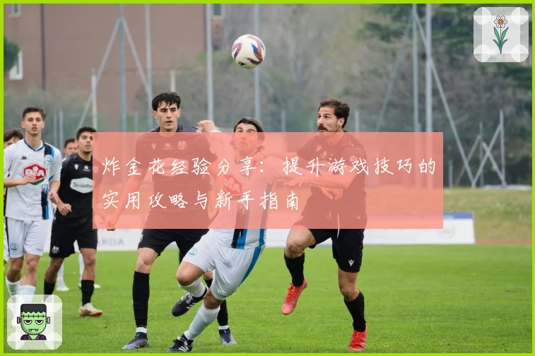 炸金花经验分享：提升游戏技巧的实用攻略与新手指南