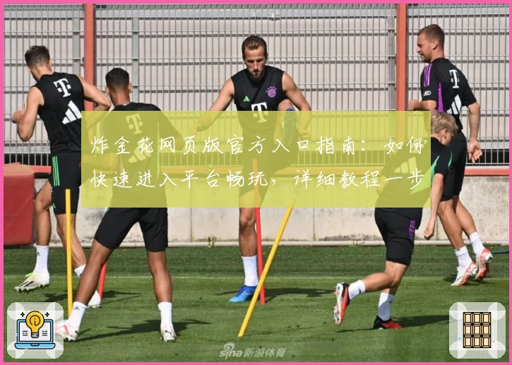 炸金花网页版官方入口指南:如何快速进入平台畅玩,详细教程一步到位