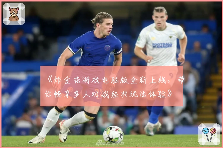 《炸金花游戏电脑版全新上线，带你畅享多人对战经典玩法体验》