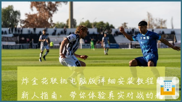 炸金花联机电脑版详细安装教程与新人指南,带你体验真实对战的精彩乐趣