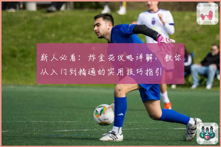 新人必看：炸金花攻略详解，教你从入门到精通的实用技巧指引