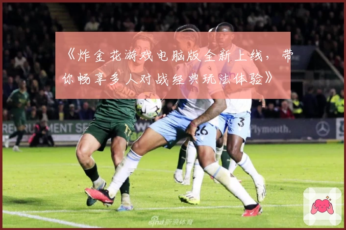 《炸金花游戏电脑版全新上线，带你畅享多人对战经典玩法体验》