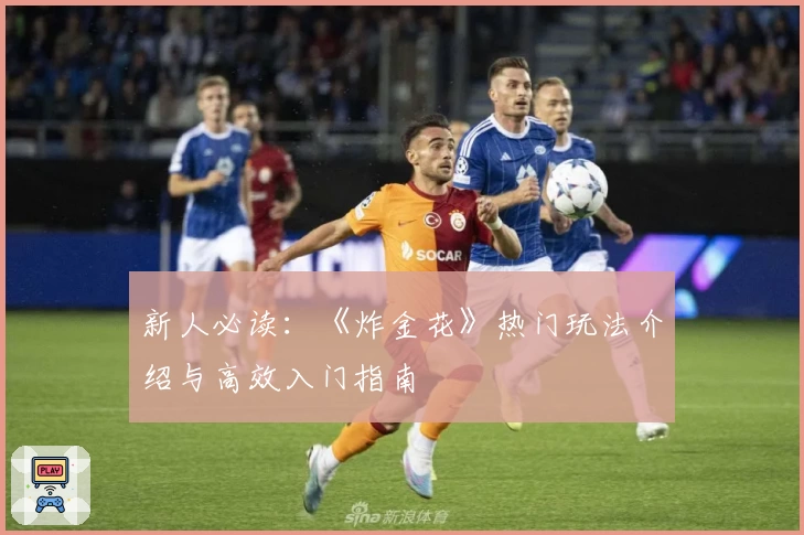 新人必读：《炸金花》热门玩法介绍与高效入门指南