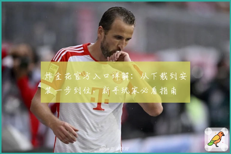 炸金花官方入口详解:从下载到安装一步到位,新手玩家必看指南